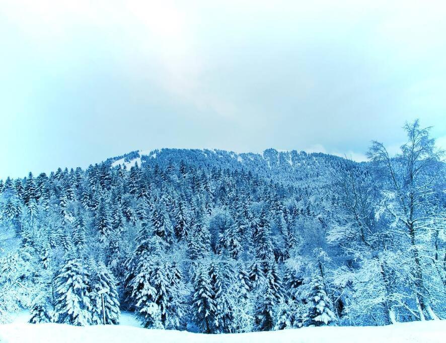 Logement 6 Pers Au Coeur Des Montagnes Pyreneennes Linge De Maison Et Papier Toilette Non Fournis Boutx Buitenkant foto