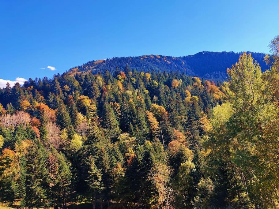 Logement 6 Pers Au Coeur Des Montagnes Pyreneennes Linge De Maison Et Papier Toilette Non Fournis Boutx Buitenkant foto
